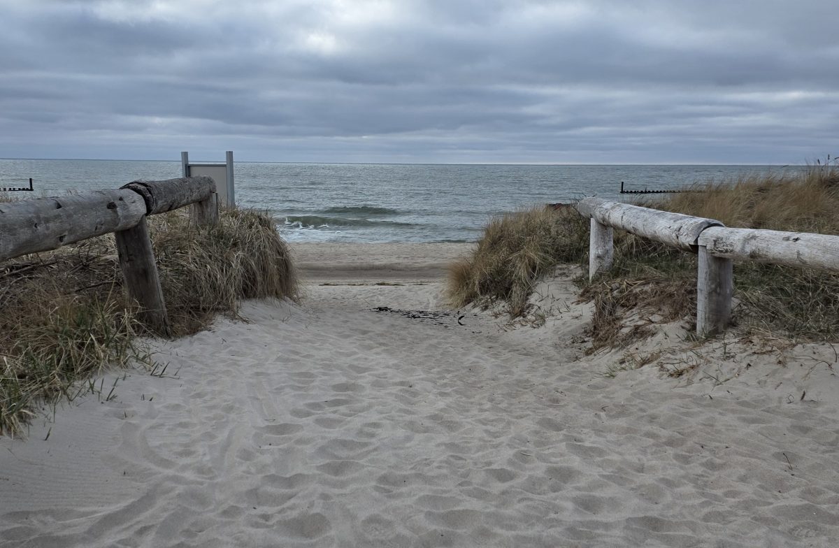 Darłówko wejście na plażę - Apartament na wynajem Baltic Oak